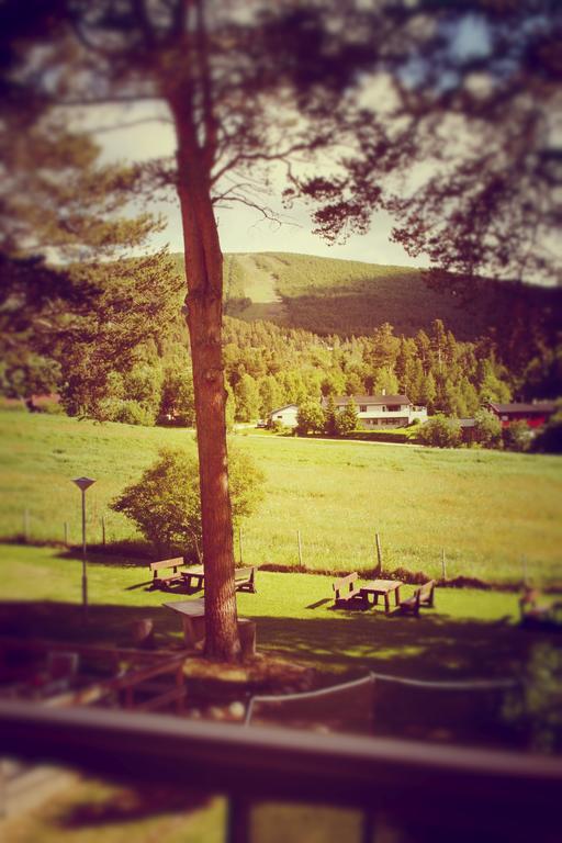 Dovrefjell Hotel Dombås Exteriör bild